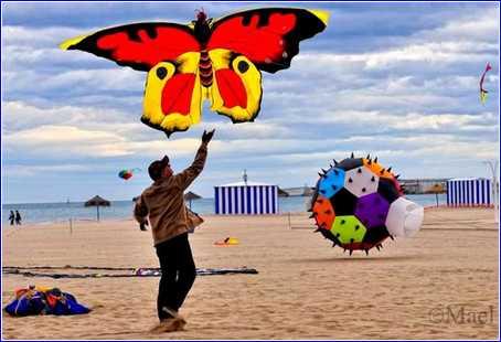 Valencia Festival Of Kites 01