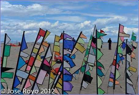 Valencia Festival Of Kites 08