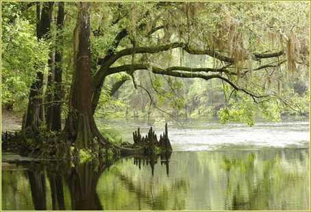 Usa Everglades National Park